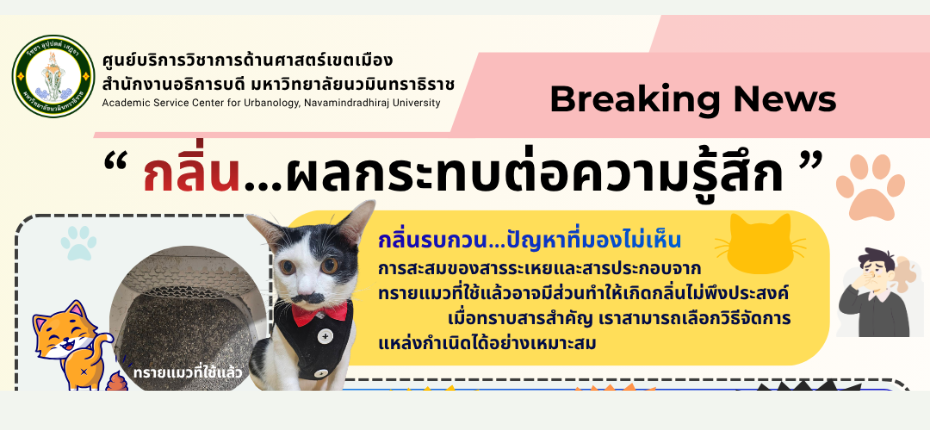 🐱💨 “ กลิ่น…ผลกระทบต่อความรู้สึก ”
